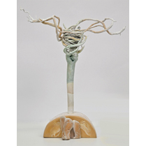 南京市博物館賞